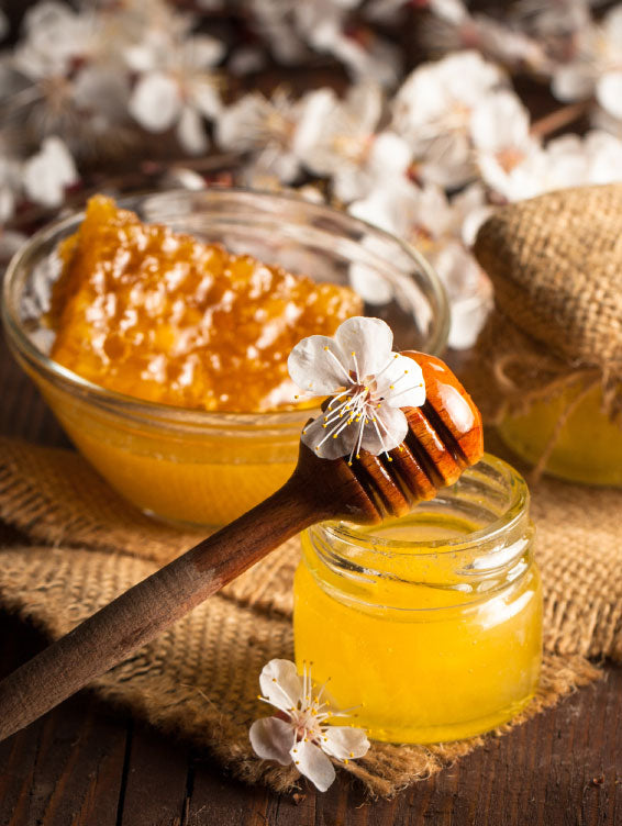 Herbal Pharm Manuka Honey 800+ 250g - Herbal Pharm Singapore
