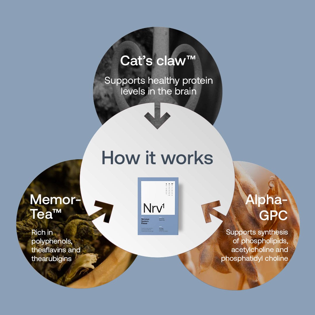 Nrv¹ Focus