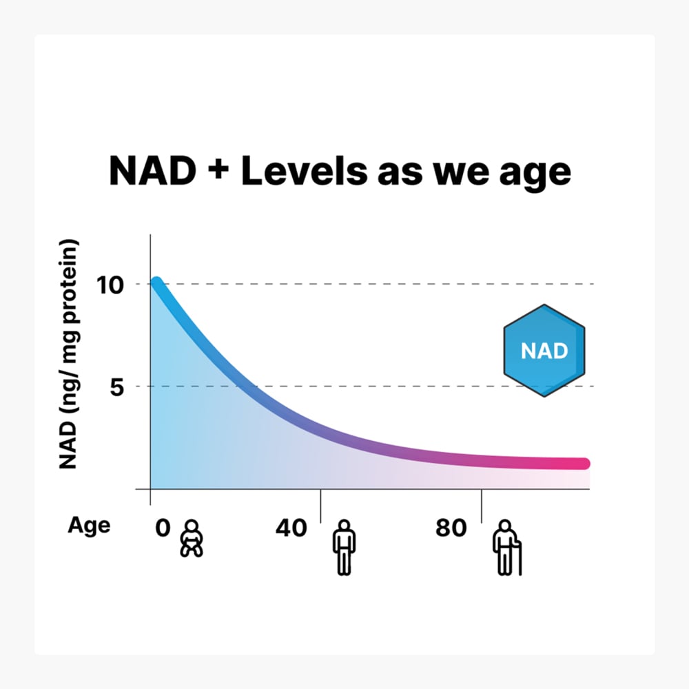 Jinfiniti NAD+ Maintenance Supplement Package - Cellular Health Support