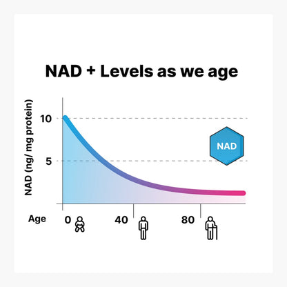 Jinfiniti NAD+ Maintenance Supplement Package - Cellular Health Support